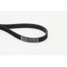 CONTINENTAL CTAM 6PK1555 Correa trapecial poli V