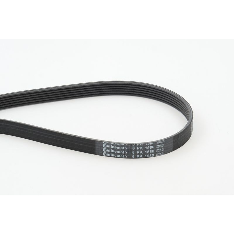 CONTINENTAL CTAM 6PK1580 Correa trapecial poli V