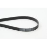 CONTINENTAL CTAM 6PK1580 Correa trapecial poli V