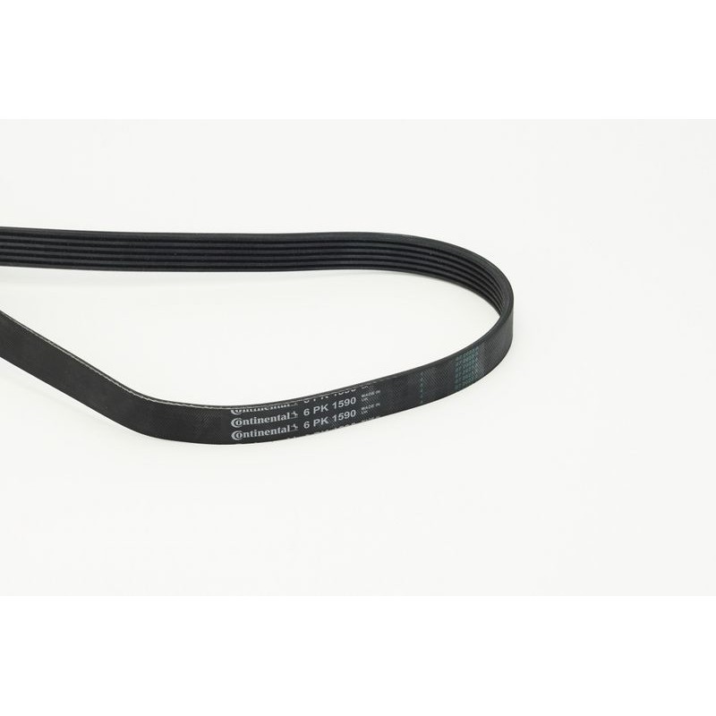 CONTINENTAL CTAM 6PK1590 Correa trapecial poli V
