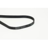 CONTINENTAL CTAM 6PK1590 Correa trapecial poli V
