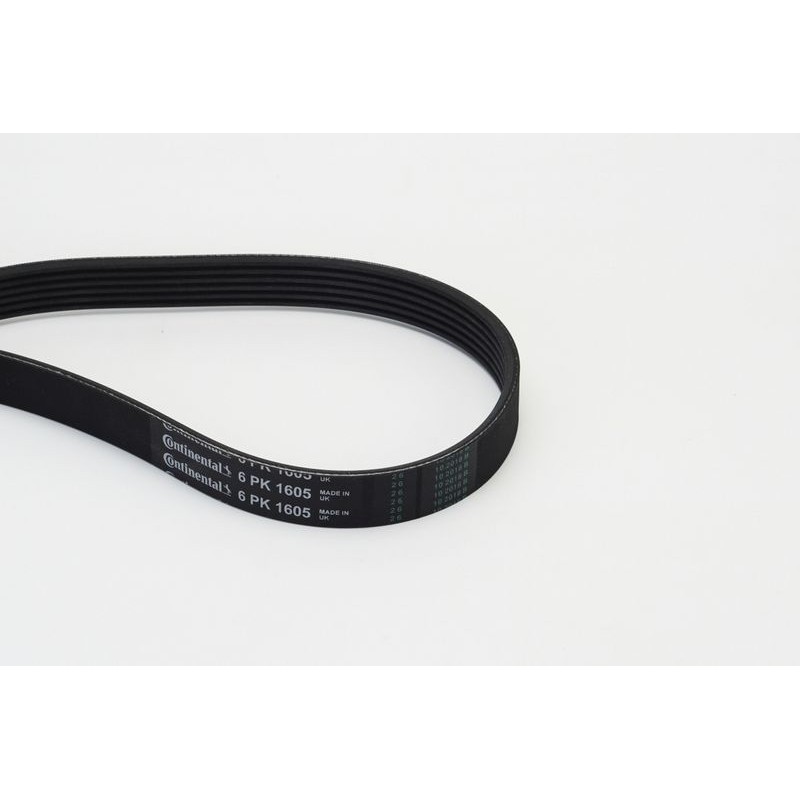 CONTINENTAL CTAM 6PK1605 Correa trapecial poli V
