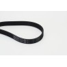 CONTINENTAL CTAM 6PK1605 Correa trapecial poli V