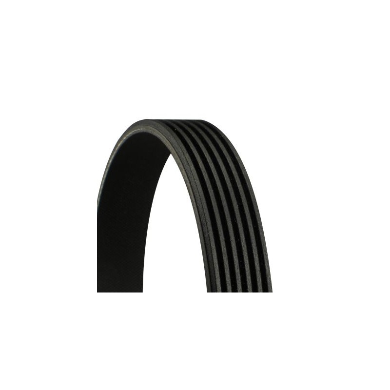 CONTINENTAL CTAM 6PK1623 Correa trapecial poli V