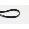 CONTINENTAL CTAM 6PK1660 Correa trapecial poli V