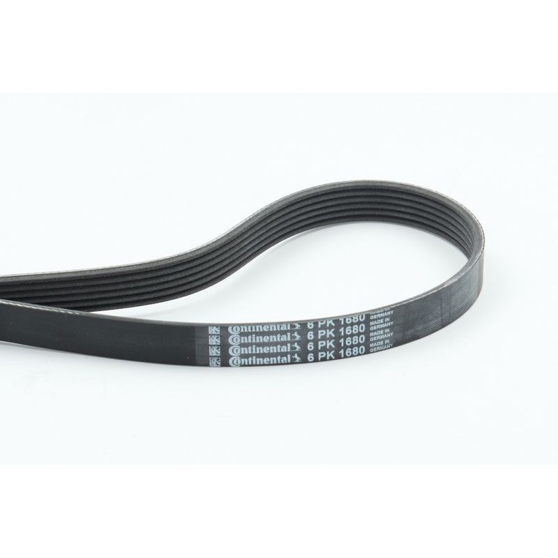 CONTINENTAL CTAM 6PK1680 Correa trapecial poli V