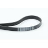 CONTINENTAL CTAM 6PK1680 Correa trapecial poli V