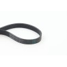 CONTINENTAL CTAM 6PK1725 Correa trapecial poli V