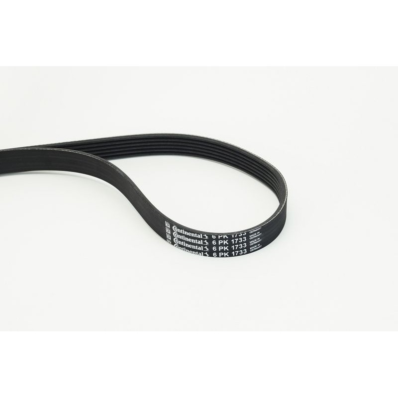 CONTINENTAL CTAM 6PK1733 Correa trapecial poli V