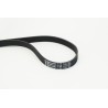 CONTINENTAL CTAM 6PK1733 Correa trapecial poli V