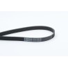 CONTINENTAL CTAM 6PK1740 Correa trapecial poli V