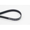 CONTINENTAL CTAM 6PK1780 Correa trapecial poli V