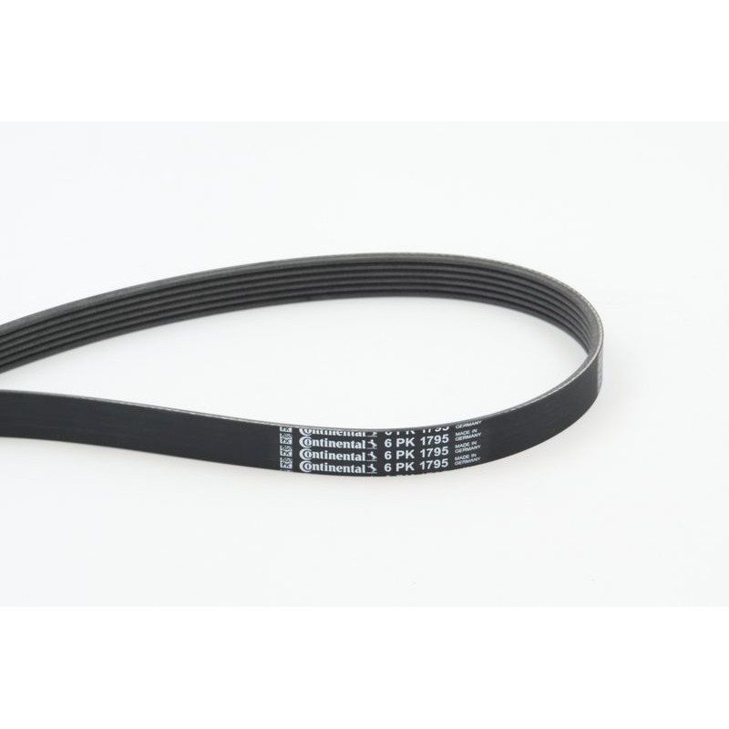 CONTINENTAL CTAM 6PK1795 Correa trapecial poli V