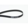 CONTINENTAL CTAM 6PK1795 Correa trapecial poli V
