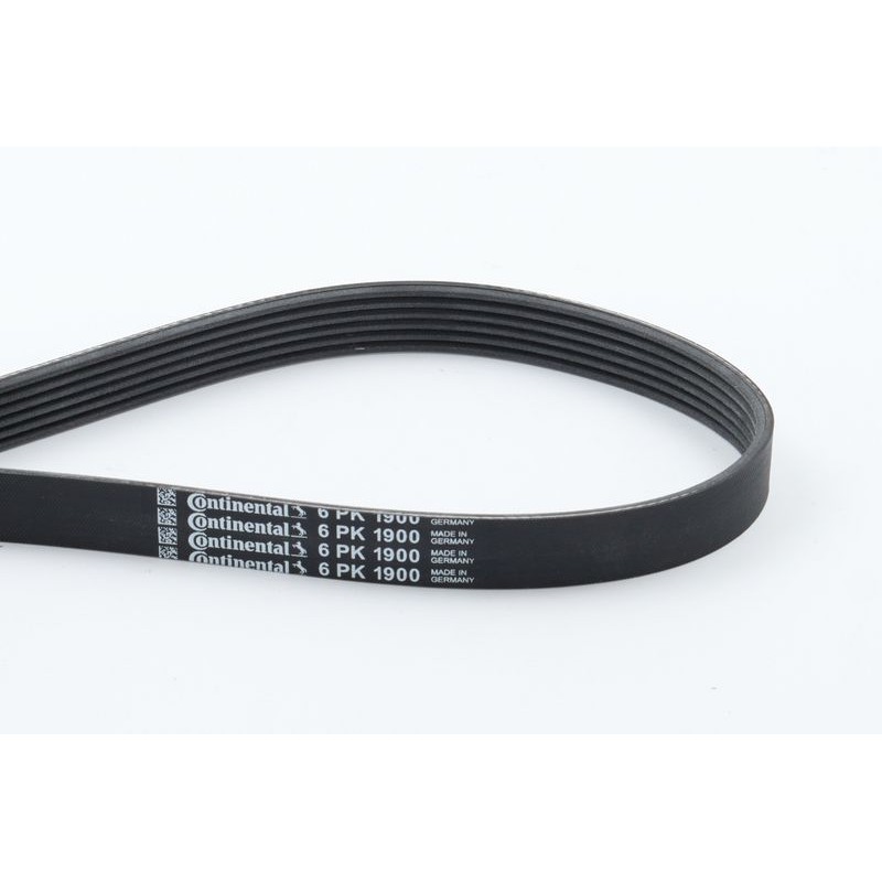 CONTINENTAL CTAM 6PK1900 Correa trapecial poli V