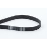 CONTINENTAL CTAM 6PK1900 Correa trapecial poli V