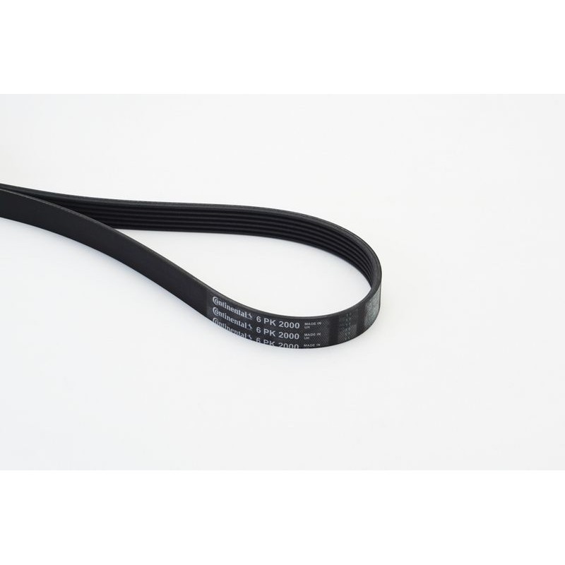 CONTINENTAL CTAM 6PK2000 Correa trapecial poli V