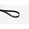 CONTINENTAL CTAM 6PK2000 Correa trapecial poli V
