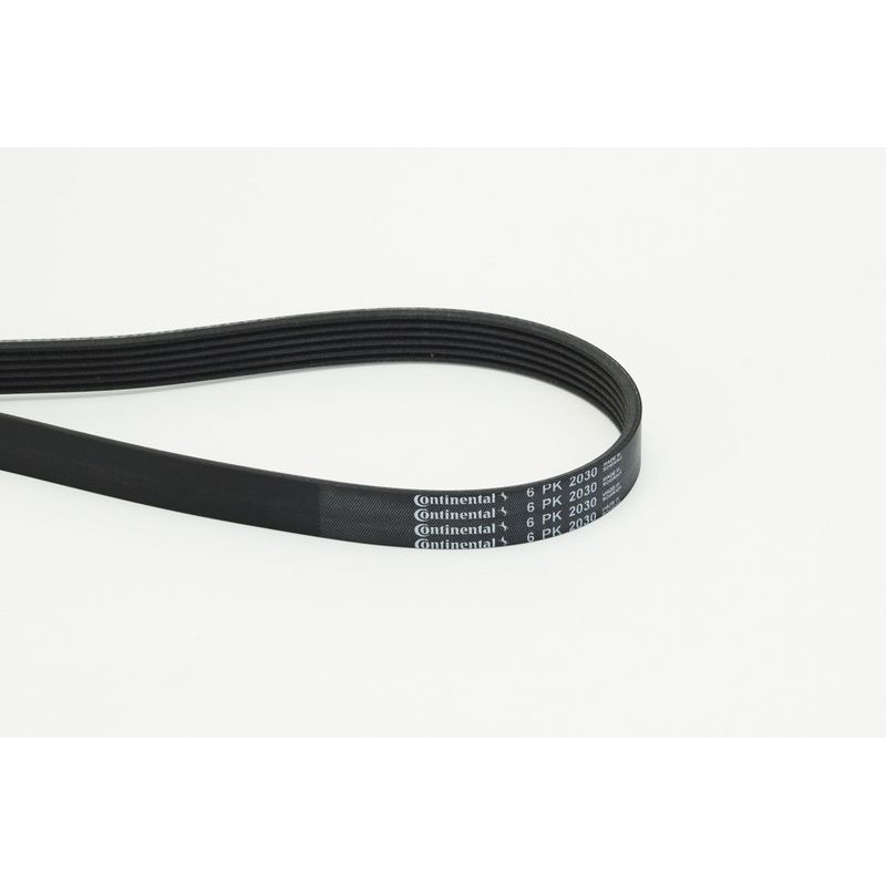 CONTINENTAL CTAM 6PK2030 Correa trapecial poli V