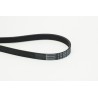 CONTINENTAL CTAM 6PK2030 Correa trapecial poli V