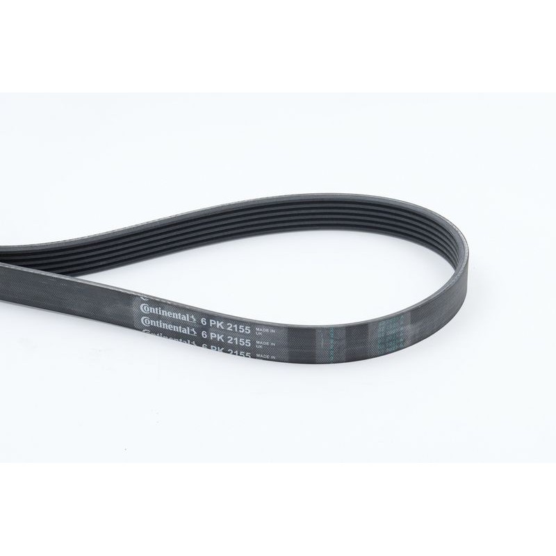 CONTINENTAL CTAM 6PK2155 Correa trapecial poli V