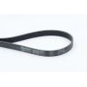 CONTINENTAL CTAM 6PK2155 Correa trapecial poli V