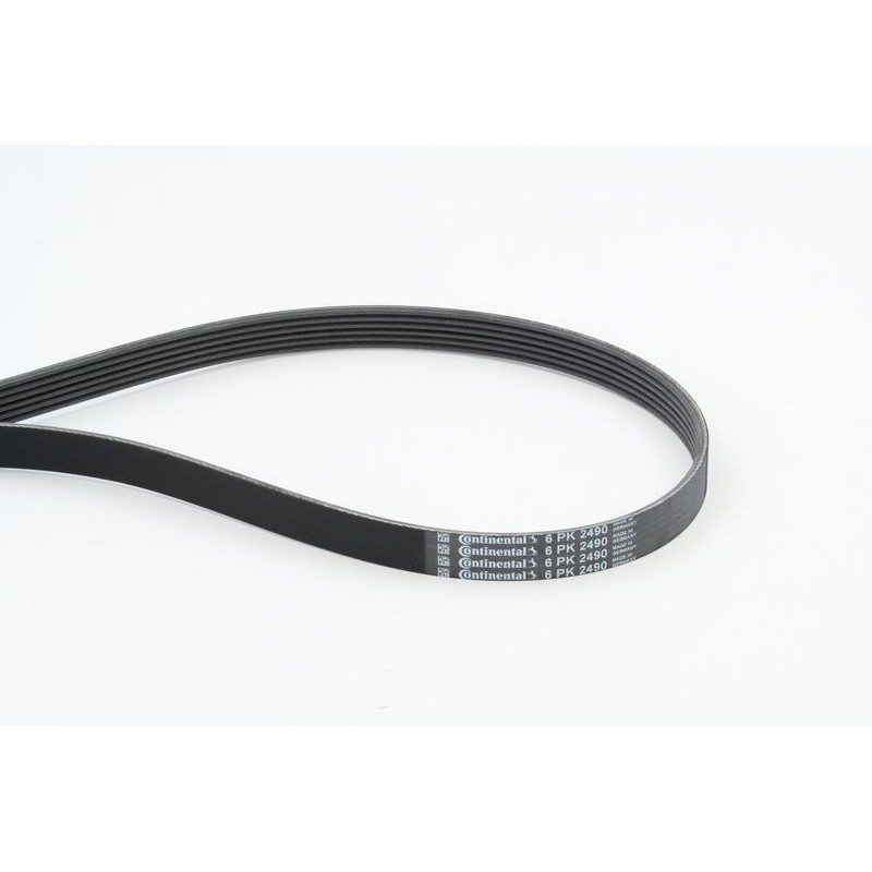 CONTINENTAL CTAM 6PK2490 Correa trapecial poli V