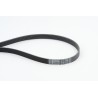 CONTINENTAL CTAM 6PK2490 Correa trapecial poli V