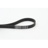 CONTINENTAL CTAM 6PK906 Correa trapecial poli V