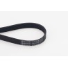 CONTINENTAL CTAM 6PK976 Correa trapecial poli V