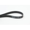 CONTINENTAL CTAM 6PK995 Correa trapecial poli V