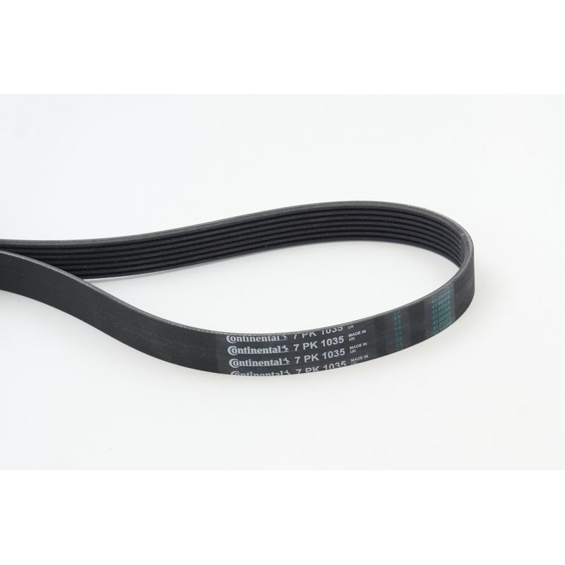 CONTINENTAL CTAM 7PK1035 Correa trapecial poli V