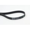 CONTINENTAL CTAM 7PK1035 Correa trapecial poli V