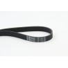 CONTINENTAL CTAM 7PK1125 Correa trapecial poli V
