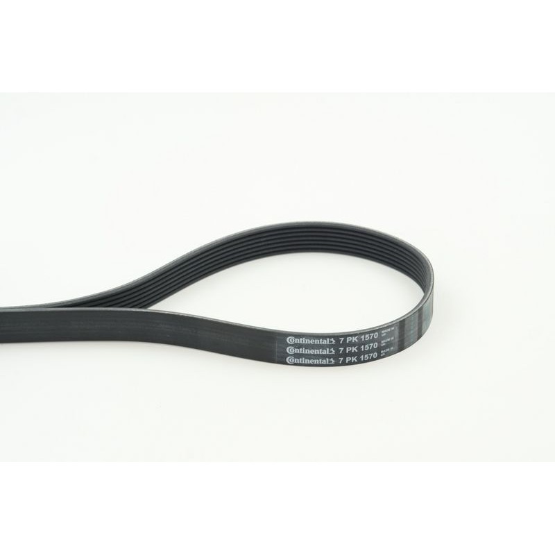CONTINENTAL CTAM 7PK1570 Correa trapecial poli V
