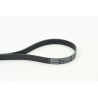 CONTINENTAL CTAM 7PK1570 Correa trapecial poli V