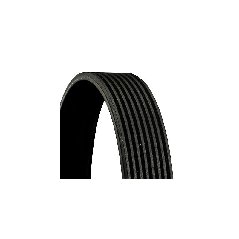 CONTINENTAL CTAM 8PK2550 Correa trapecial poli V