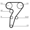 CONTINENTAL CTAM CT947K1 Juego de correas dentadas