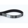 CONTINENTAL CTAM CT950 Correa dentada