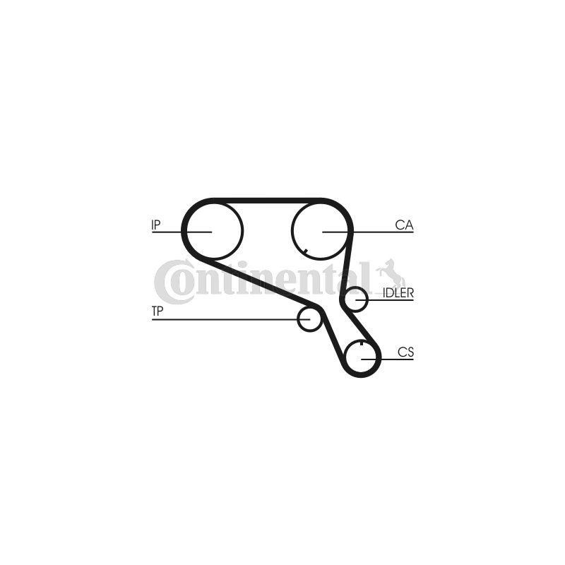 CONTINENTAL CTAM CT953 Correa dentada