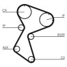 CONTINENTAL CTAM CT966 Correa dentada