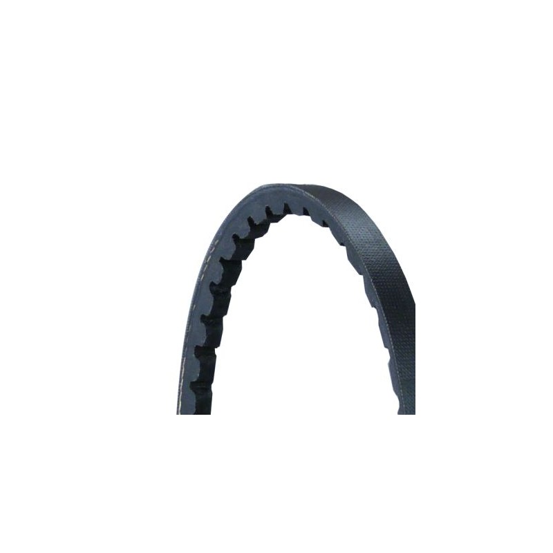 CONTINENTAL CTAM AVX10X1013 Correa trapezoidal