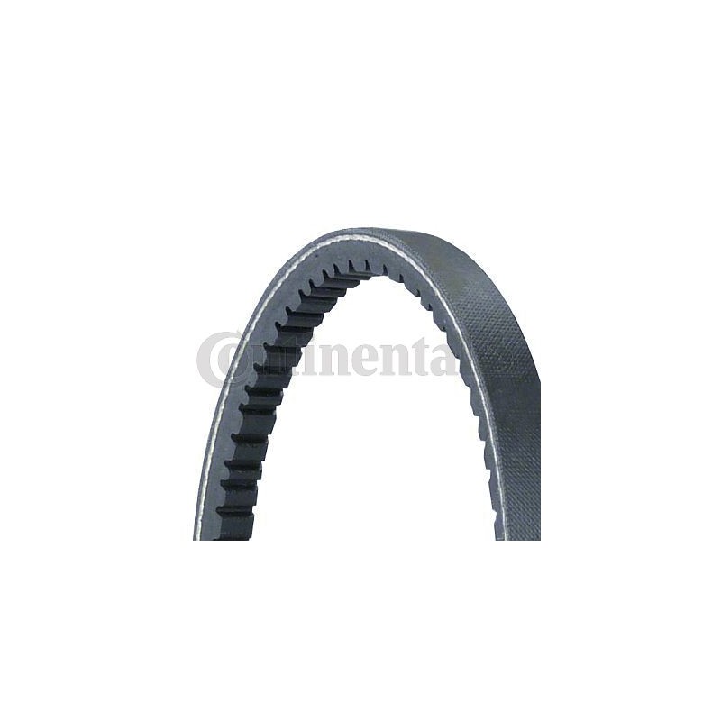 CONTINENTAL CTAM 11,5X730Ld Correa trapezoidal