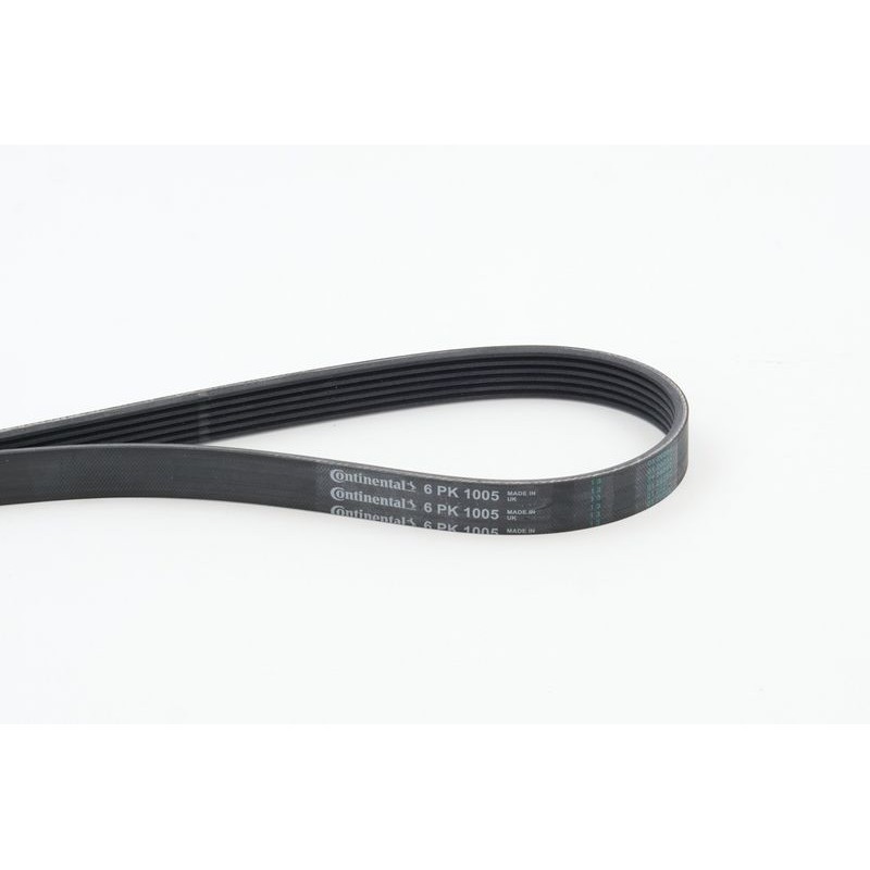 CONTINENTAL CTAM 6PK1005 Correa trapecial poli V