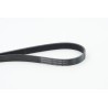 CONTINENTAL CTAM 6PK1005 Correa trapecial poli V