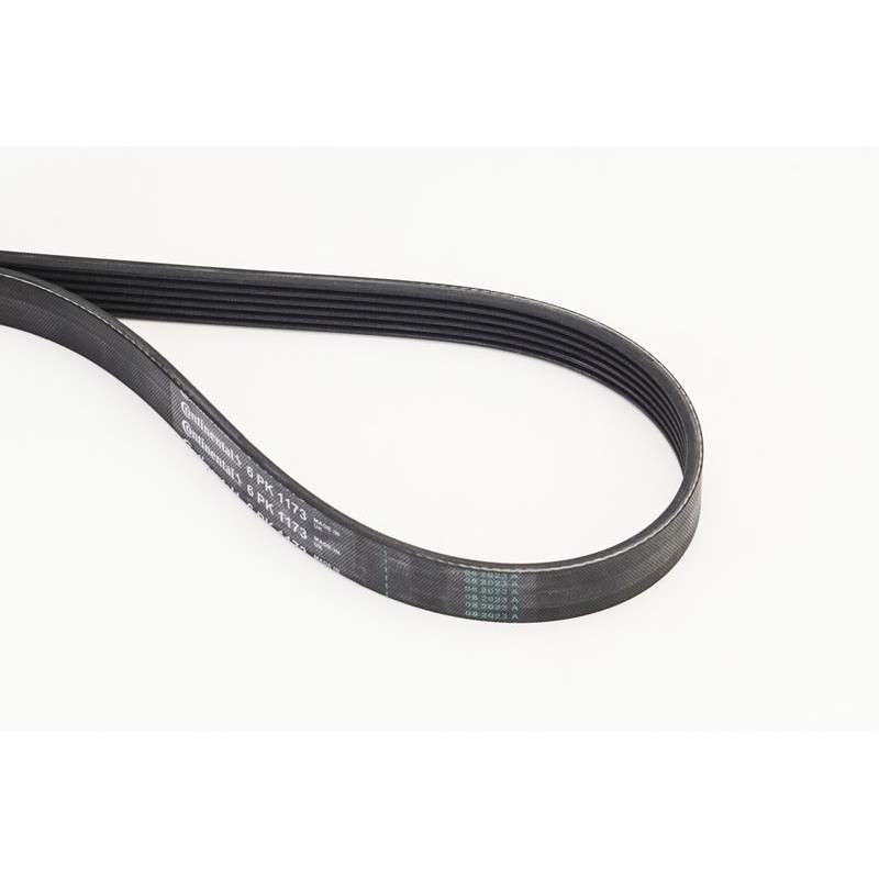 CONTINENTAL CTAM 6PK1173 Correa trapecial poli V