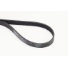 CONTINENTAL CTAM 6PK1173 Correa trapecial poli V