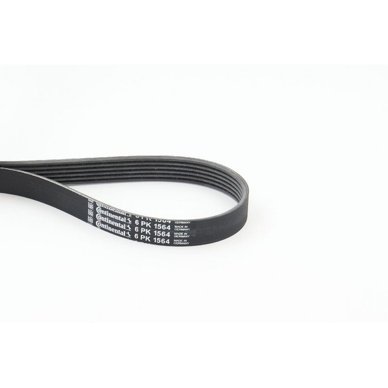 CONTINENTAL CTAM 6PK1564 Correa trapecial poli V
