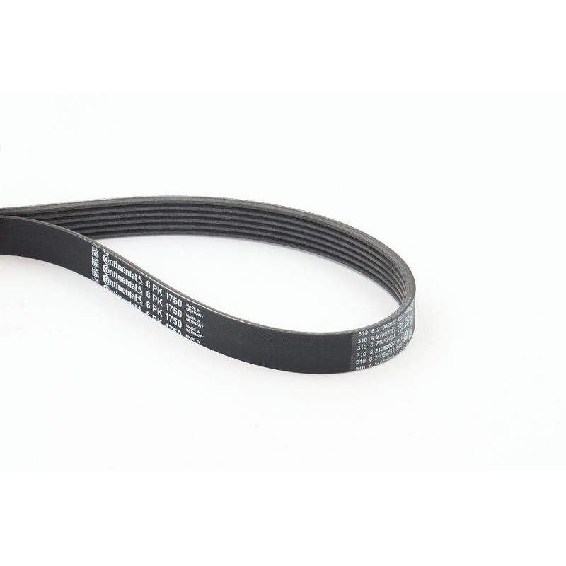 CONTINENTAL CTAM 6PK1750 Correa trapecial poli V