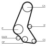 CONTINENTAL CTAM CT748K4 Juego de correas dentadas